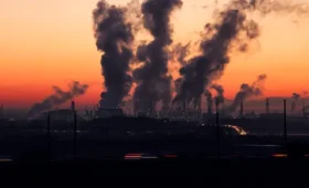 Laporan Ini Kuak Sebagian Besar Wilayah di AS akan Terpapar Polusi Udara Tahun 2054