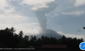 Gunung Ibu Erupsi Selasa Pagi 16 April 2024, Semburkan Abu Vulkanik Setinggi 2.000 Meter